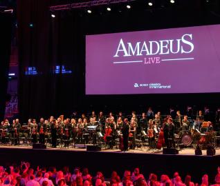 Amadeus LIVE la TIFF.24