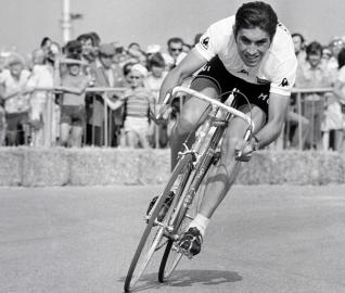 Merckx (r. Christophe Hermans, Boris Tilquin, Belgia, 2025)