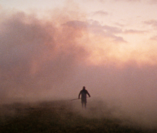 În lanul de trestii (Reedland, r. Sven Bresser, 2025) 